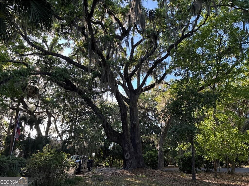 225 West Point Drive St. Simons Island GA 31522