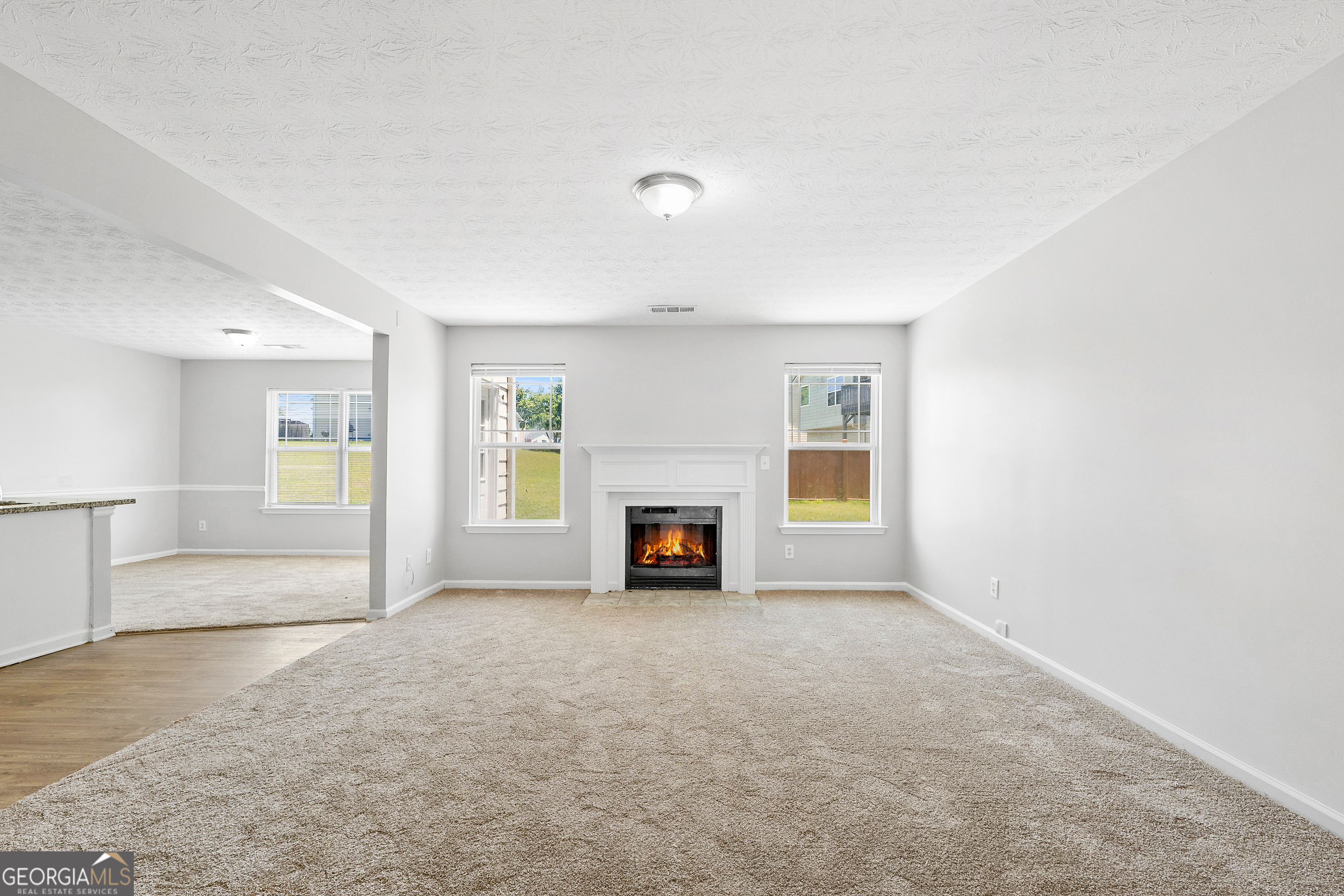 3935 Alderwoods Drive Jonesboro GA 30236