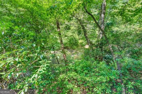 48 Riverwood Trail Ellijay GA 30536