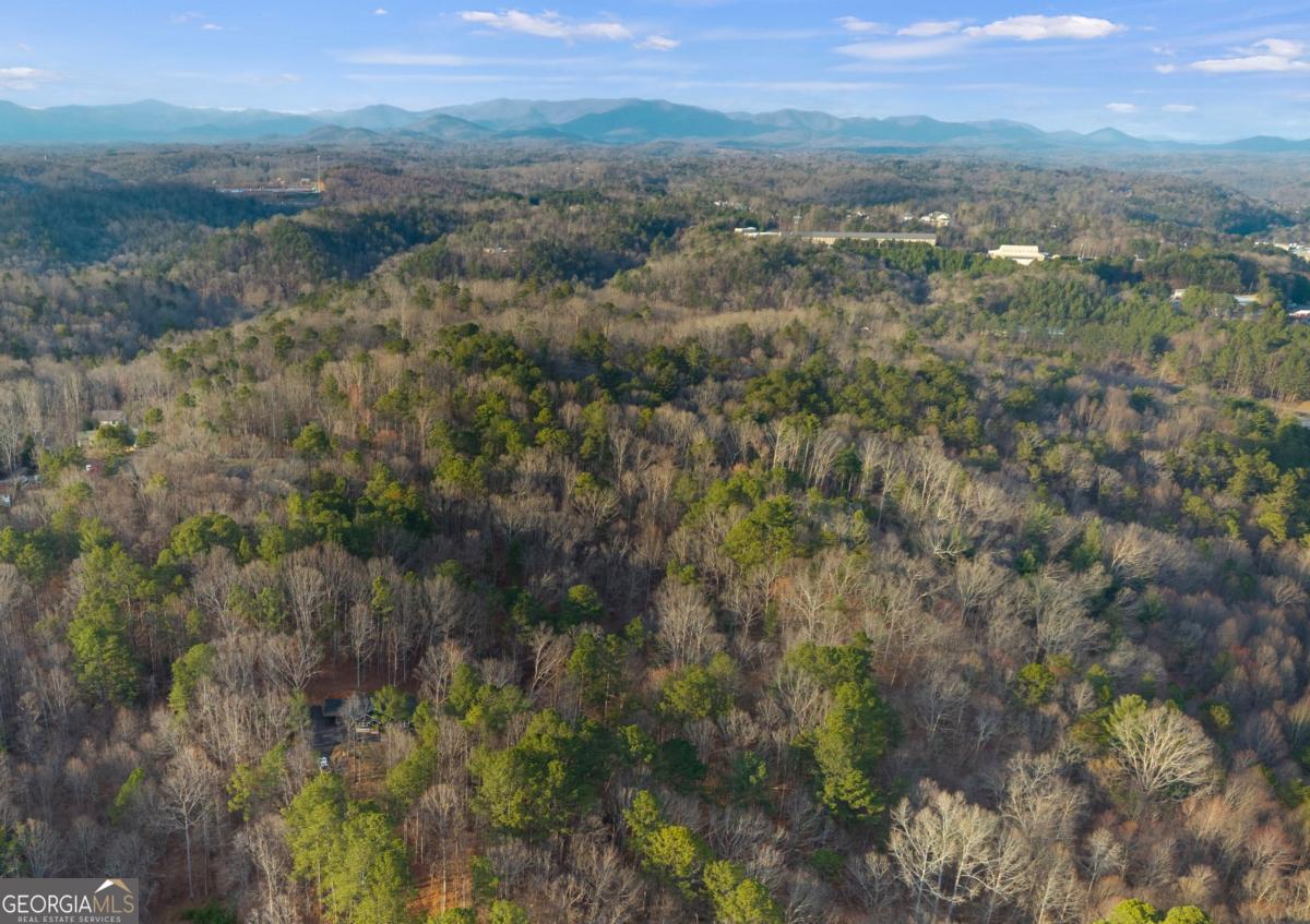 236 Ellington Road Ellijay GA 30540