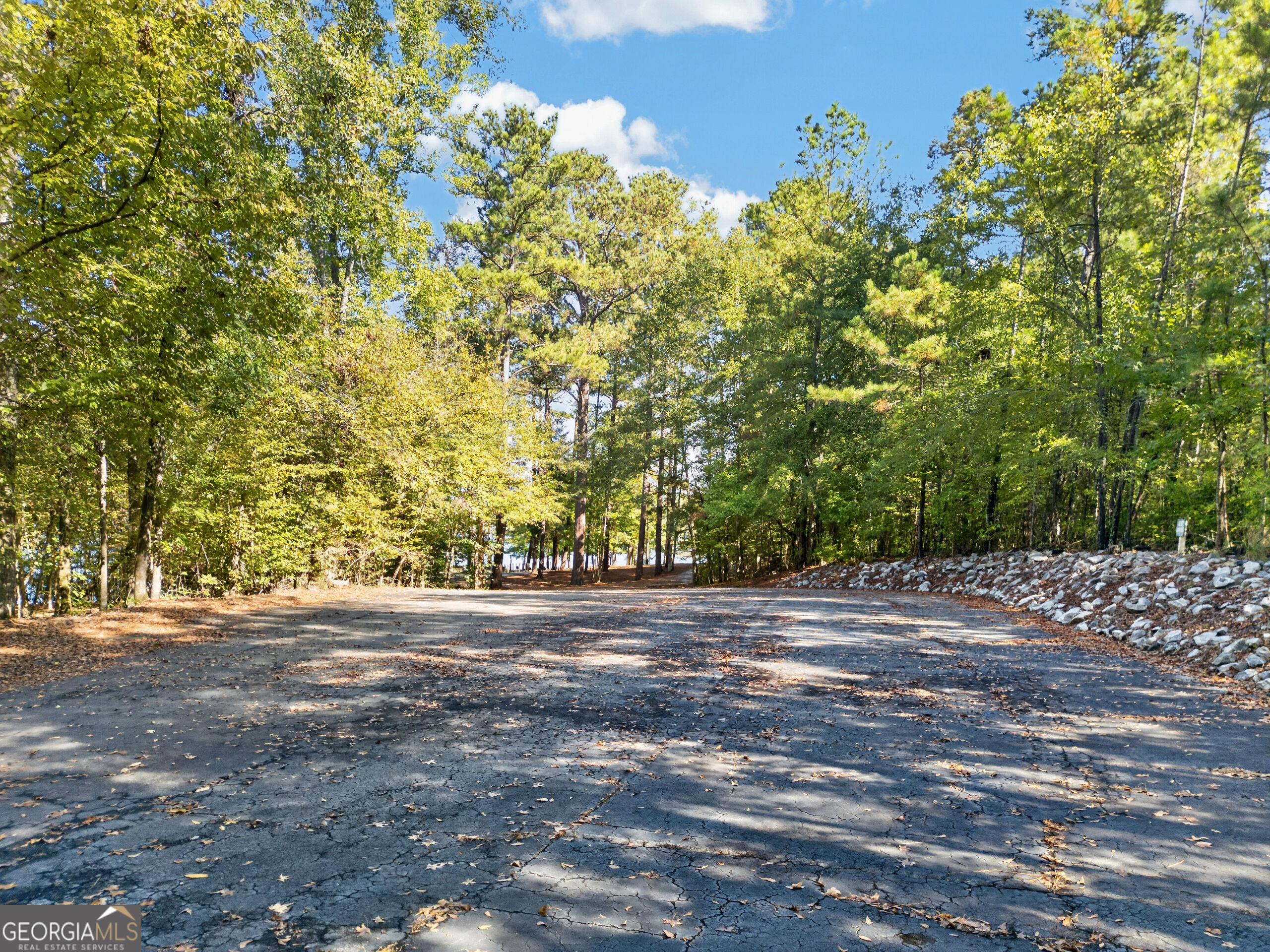 122 Jordan Drive Lizella GA 31052
