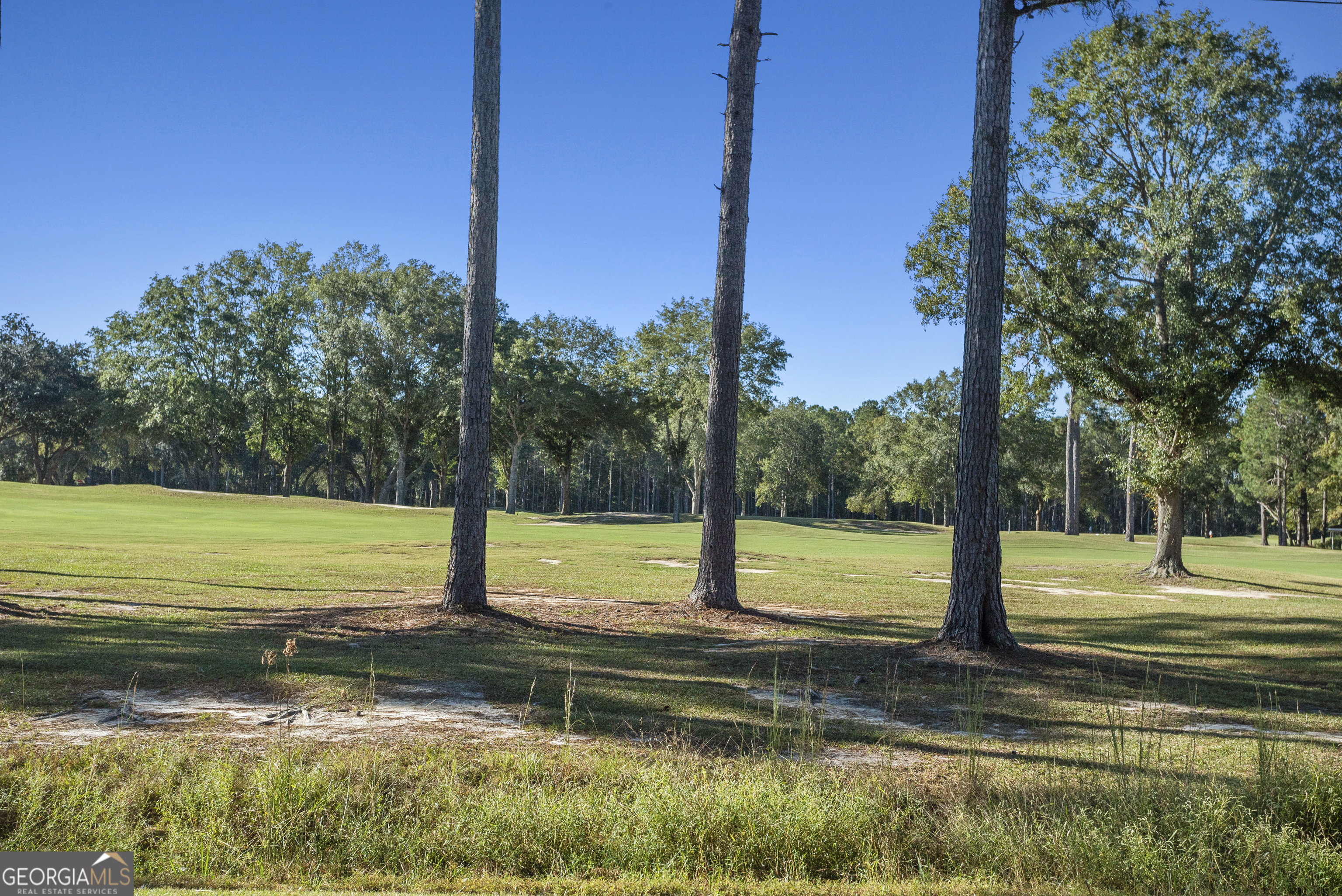 29 Sterling Court Ellabell GA 31308