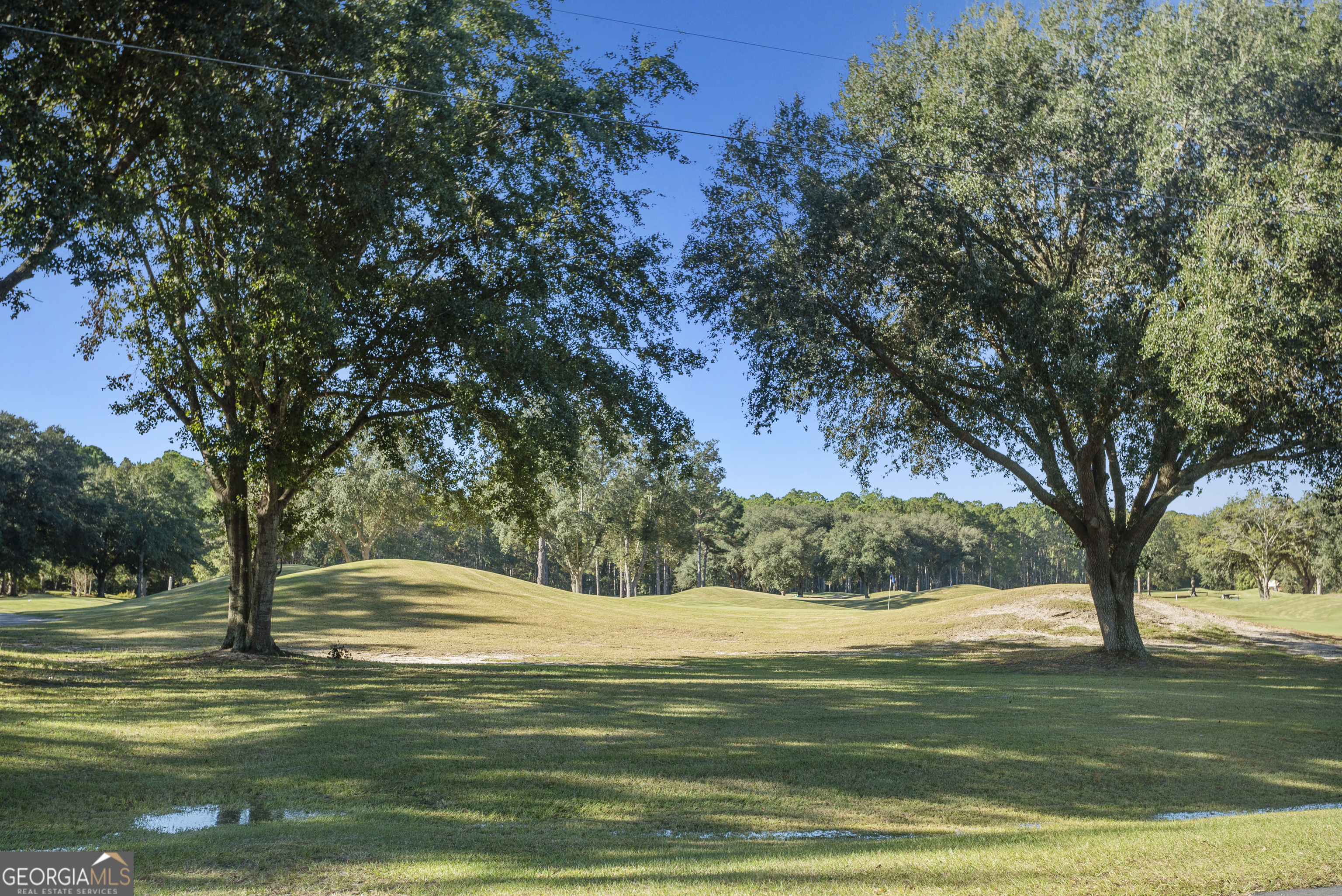 29 Sterling Court Ellabell GA 31308