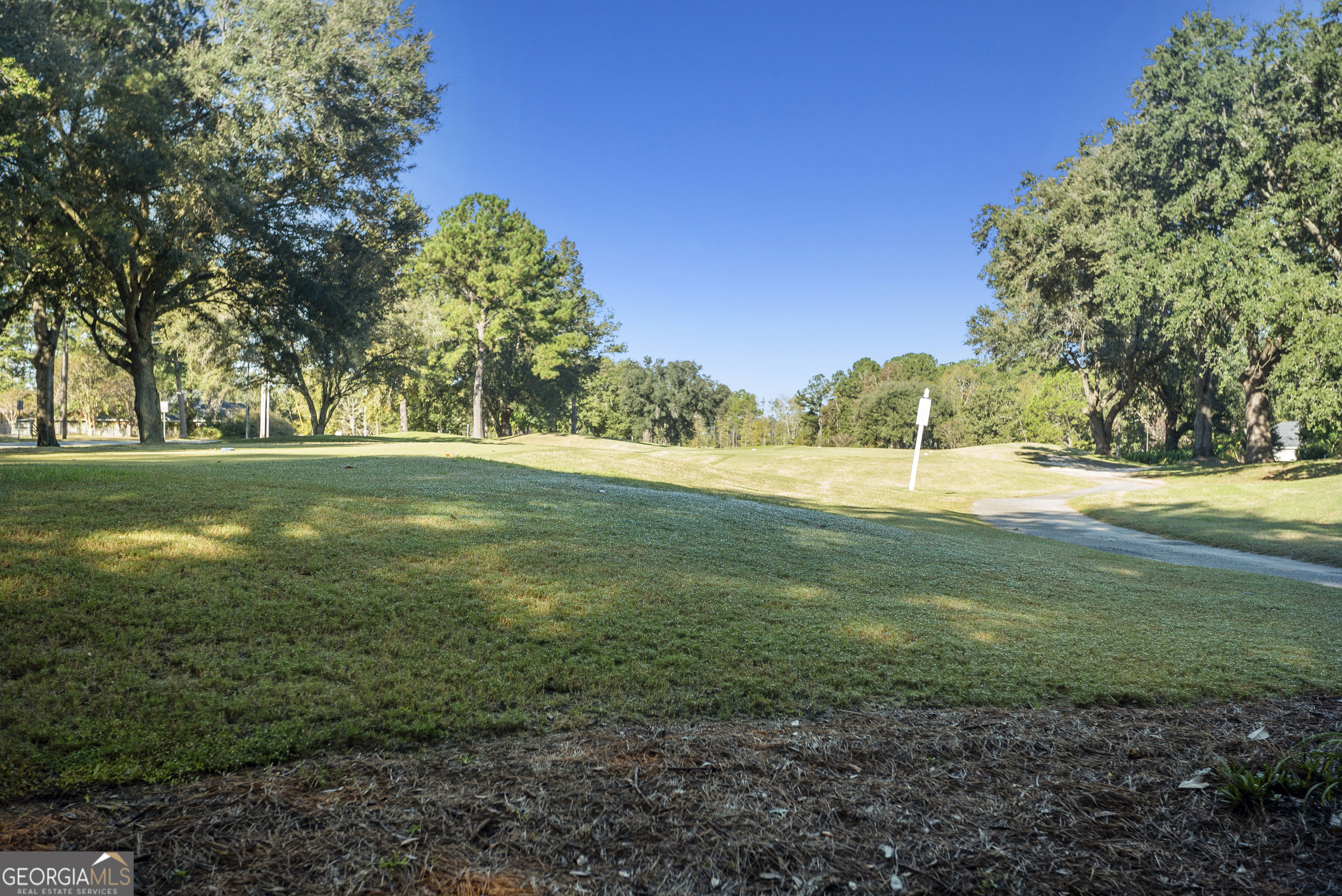 29 Sterling Court Ellabell GA 31308