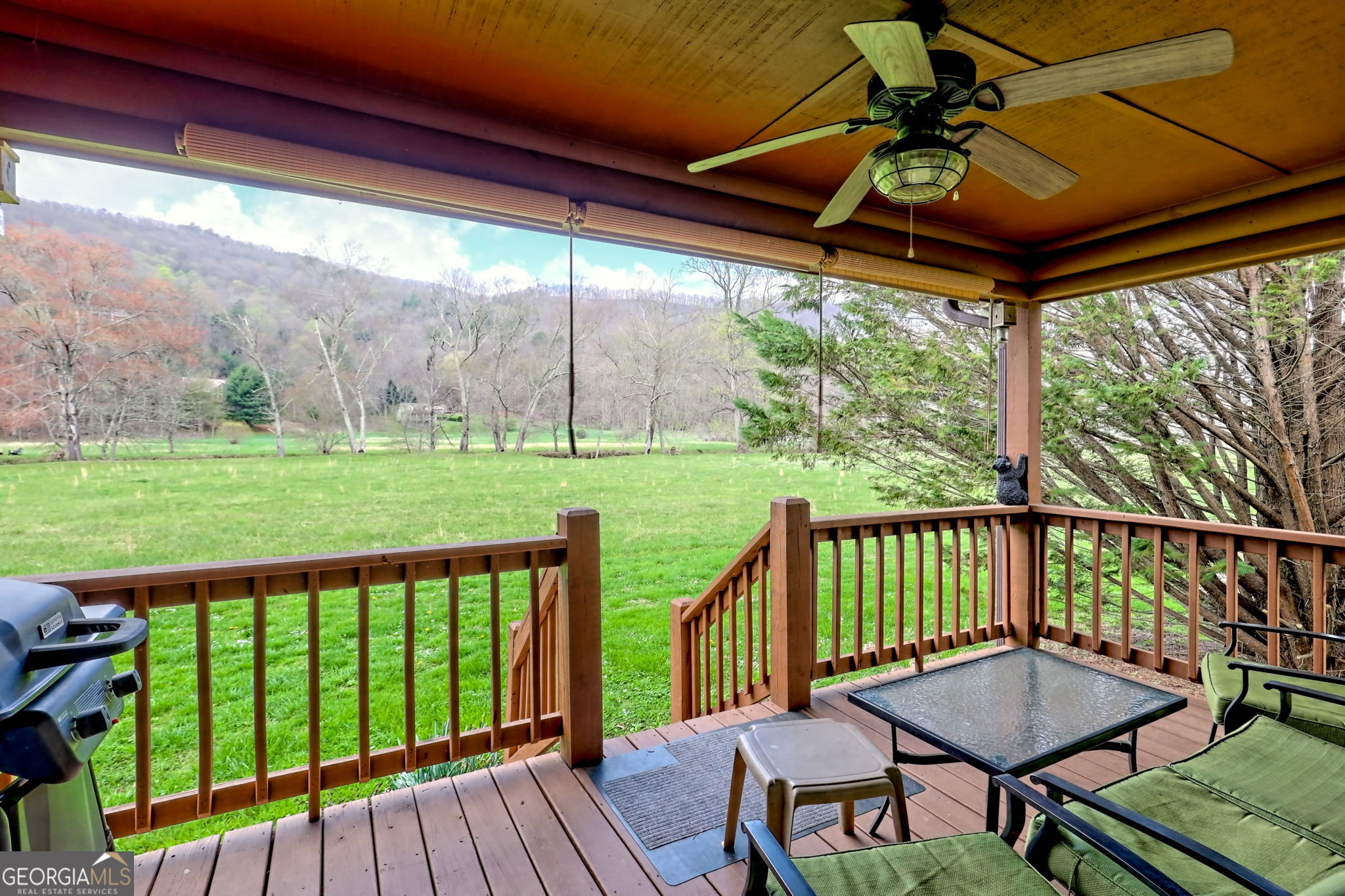 3556 Riverfront Lane Hiawassee GA 30546