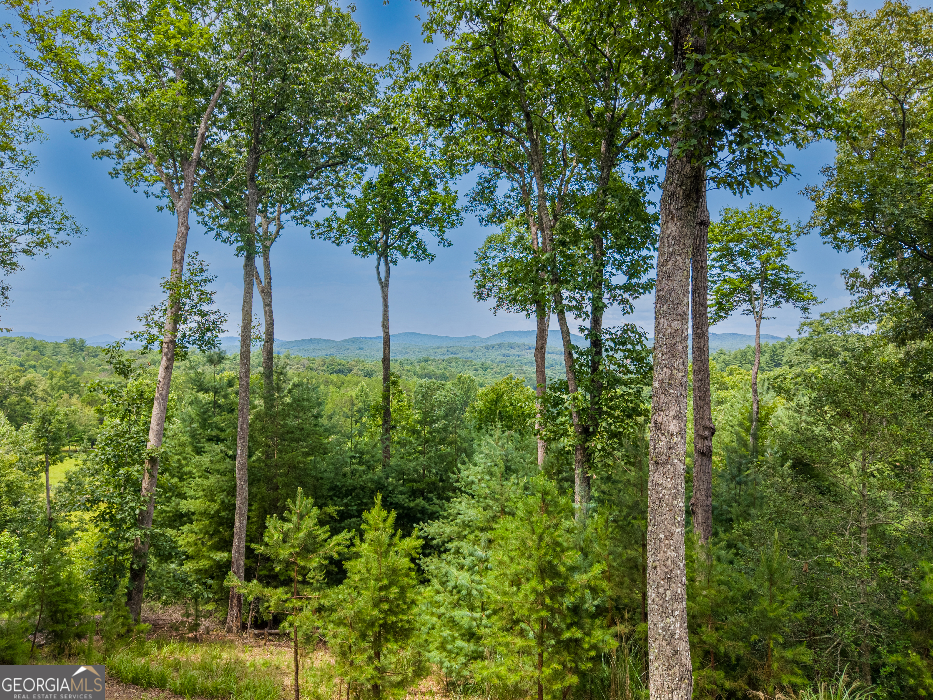 353 Robinson Thomas Road Morganton GA 30560