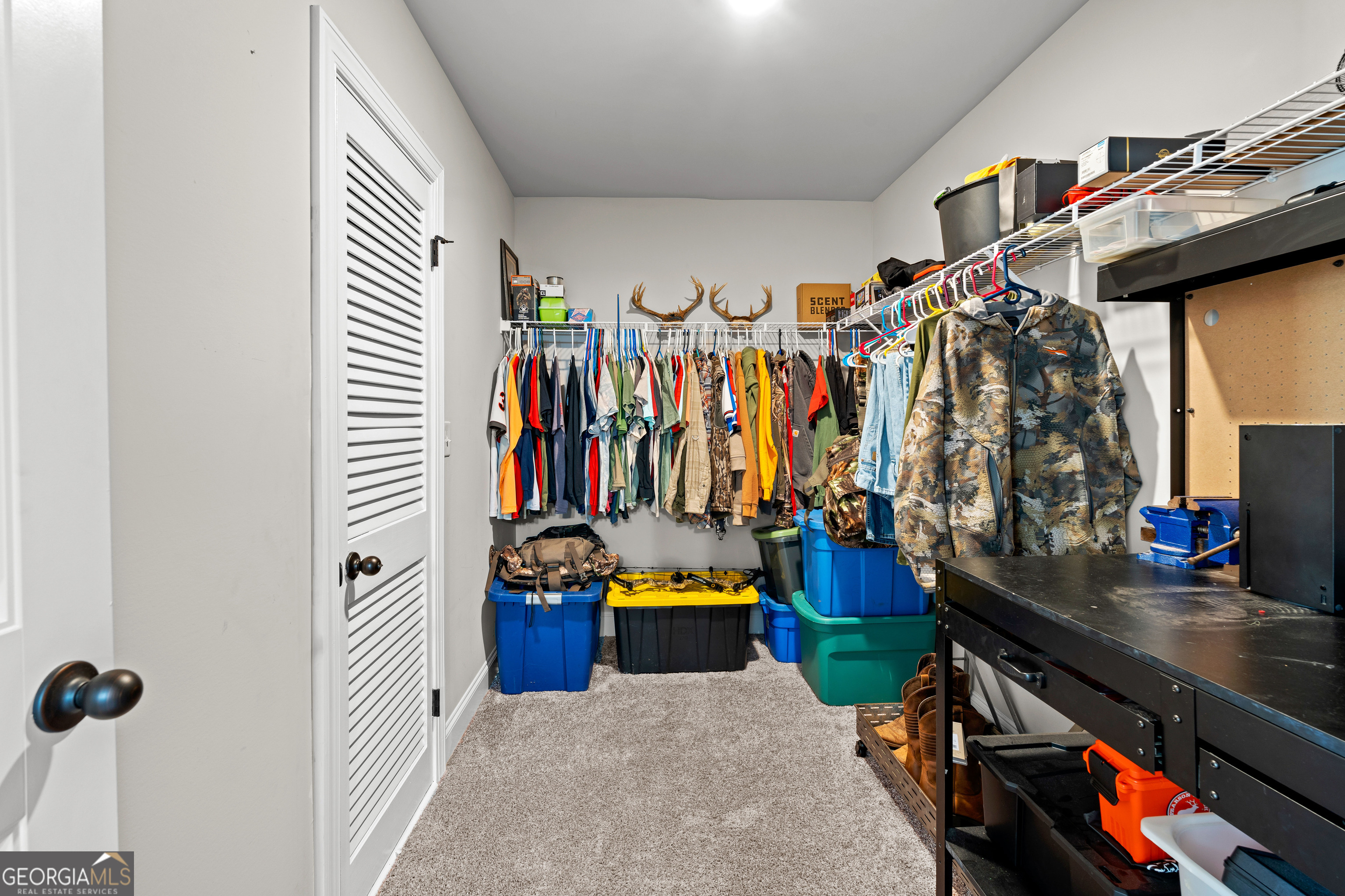 194 Bluff Mill Farms Drive Senoia GA 30276