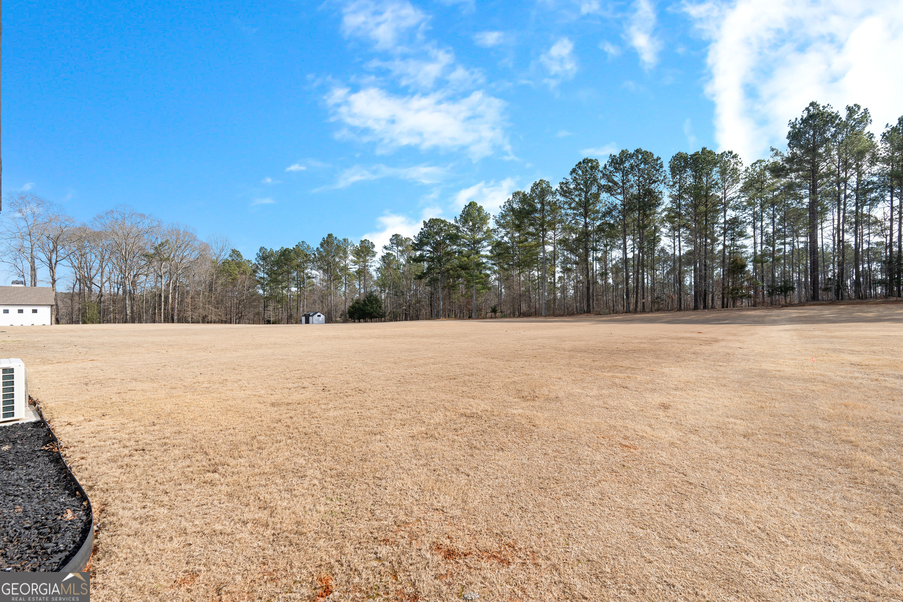 194 Bluff Mill Farms Drive Senoia GA 30276
