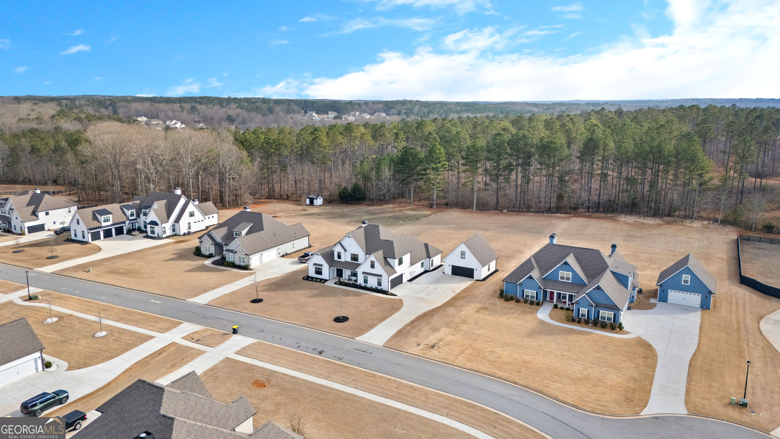 194 Bluff Mill Farms Drive Senoia GA 30276