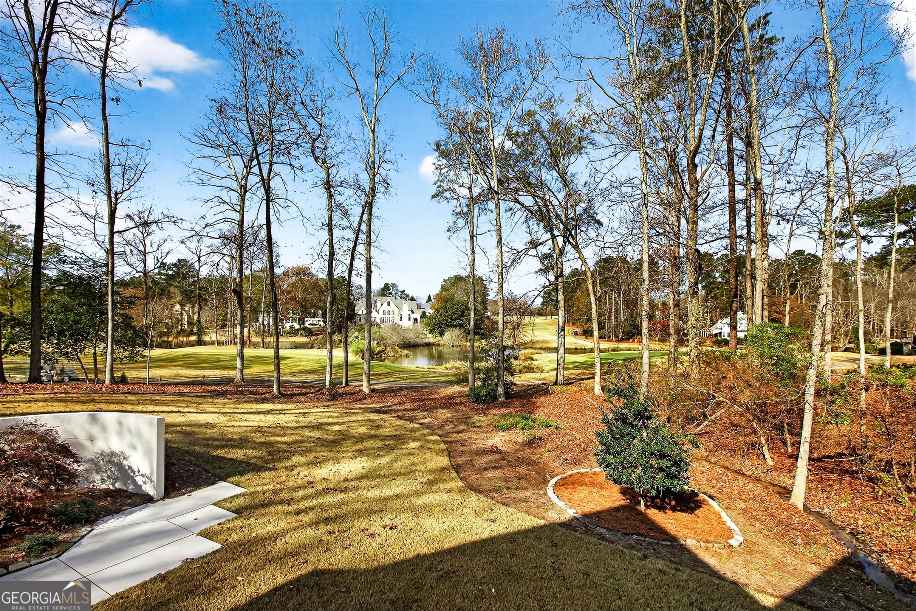 450 Birkdale Drive Fayetteville GA 30215
