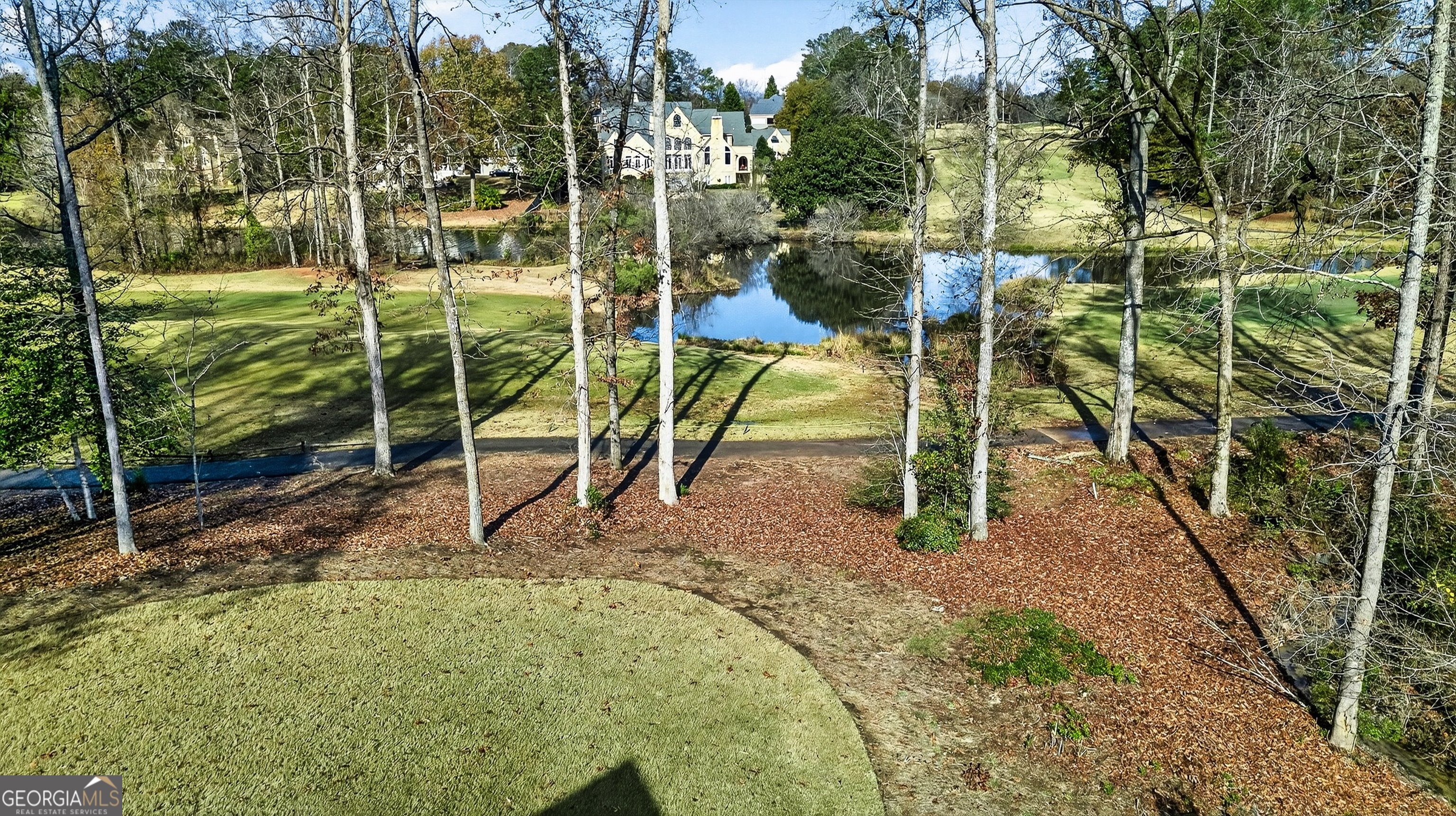 450 Birkdale Drive Fayetteville GA 30215