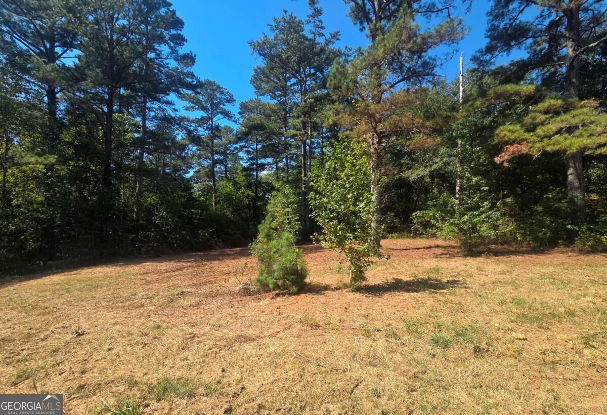 2292 Holly Springs Road Rockmart GA 30153