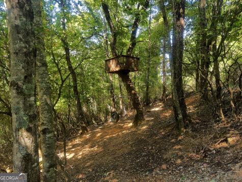 57 Yellow Rock Road Cleveland GA 30528