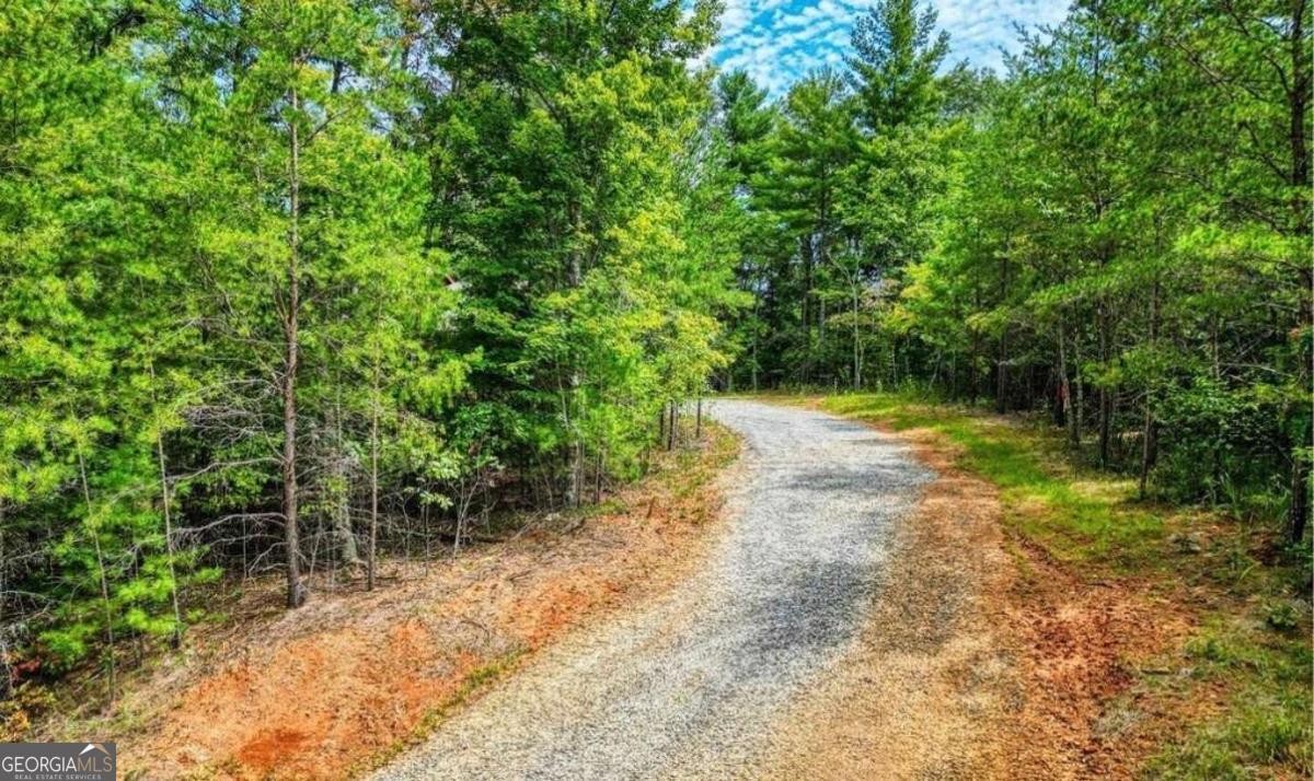 199 Lola Mae Way Morganton GA 30560