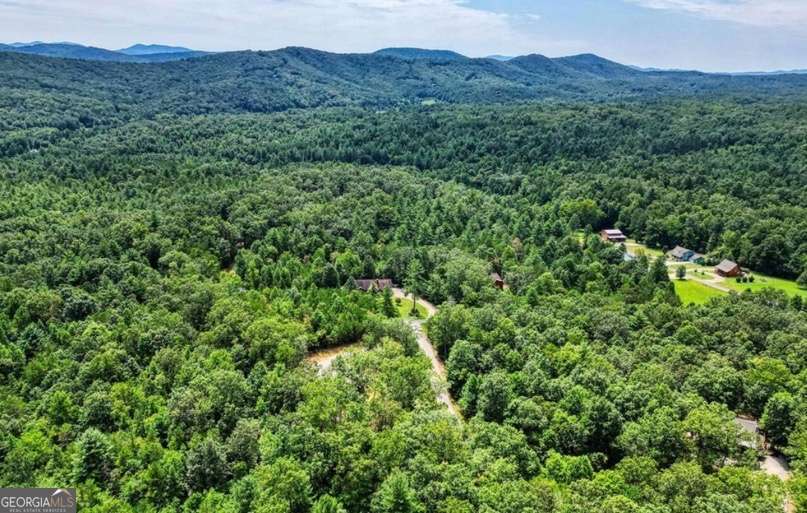 199 Lola Mae Way Morganton GA 30560