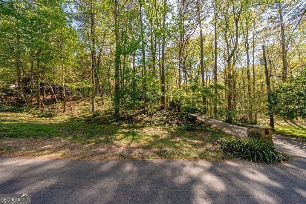 919 Lebanon Place Woodstock GA 30188