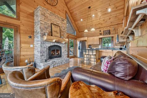 96 Hidden Lake Lane Cherry Log GA 30522