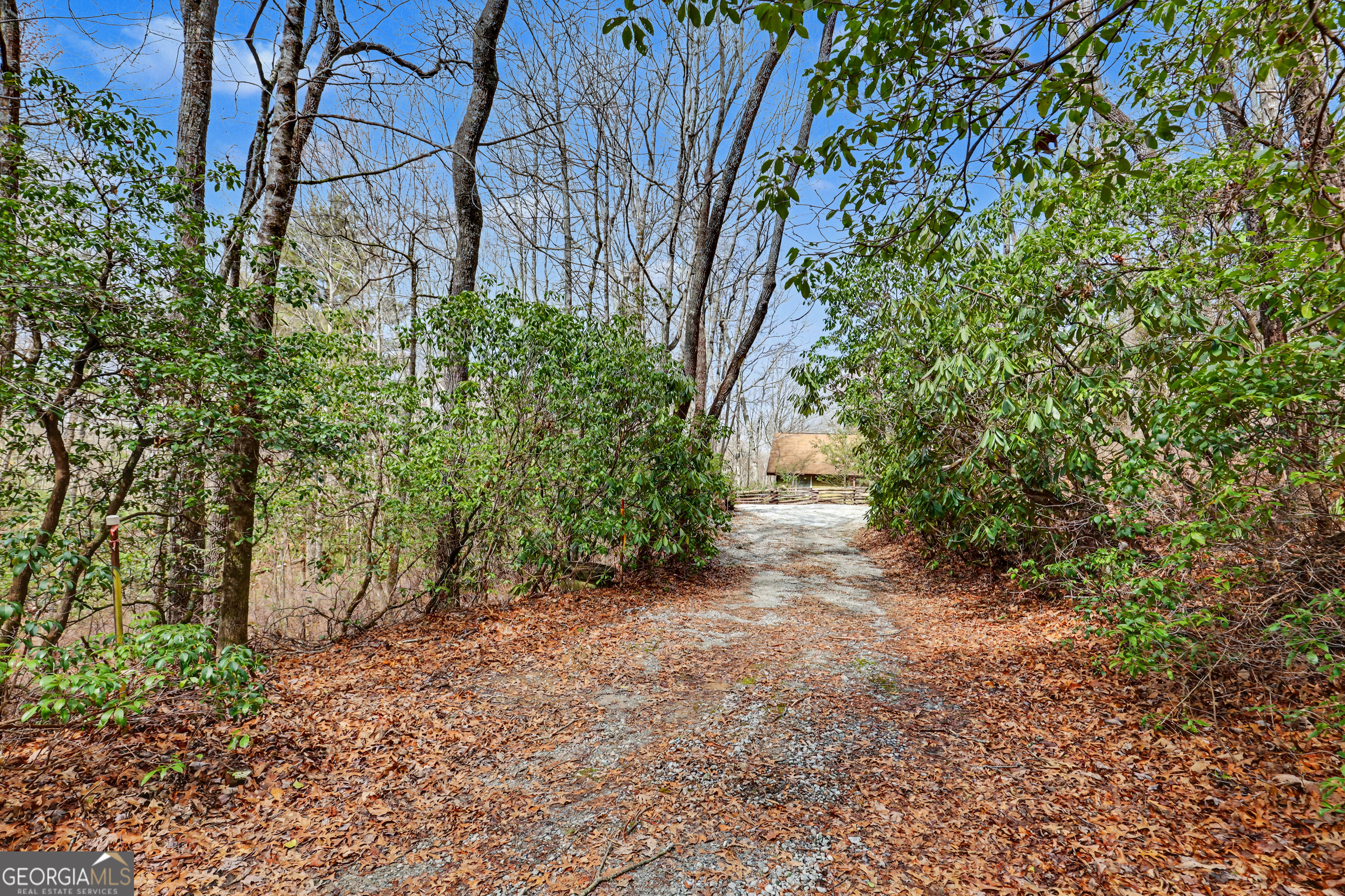 559 Maple Leaf Drive Dillard GA 30537