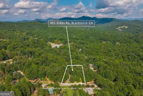 461 Gibbs Road Blairsville GA 30512