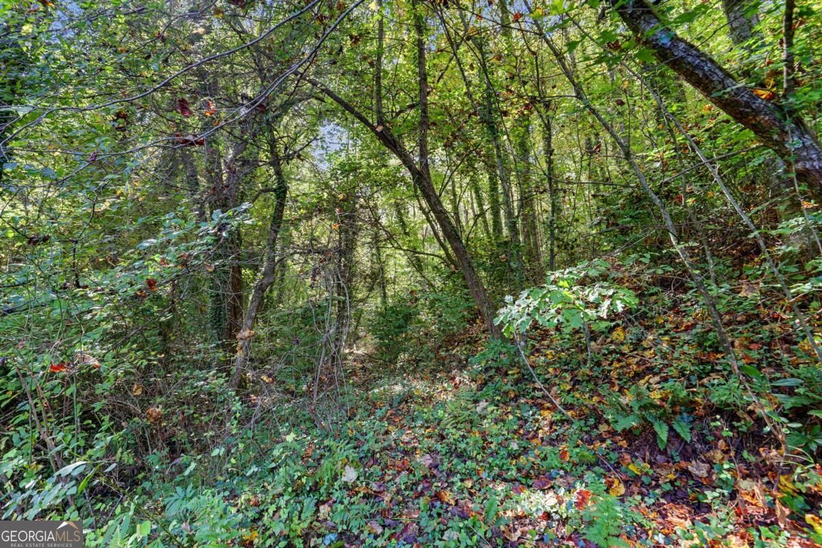 138 Taylors Chapel Road Rabun Gap GA 30568