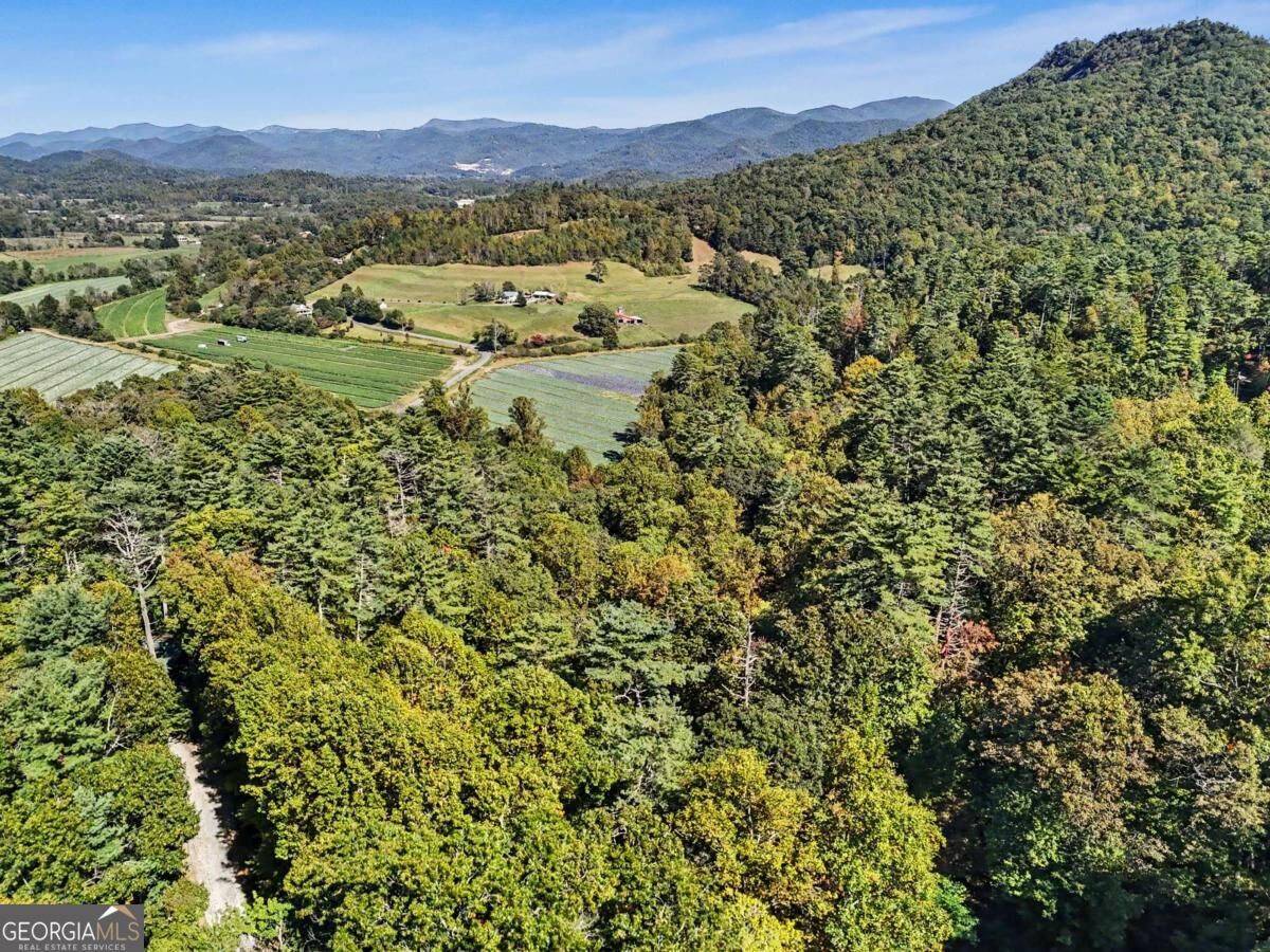 138 Taylors Chapel Road Rabun Gap GA 30568