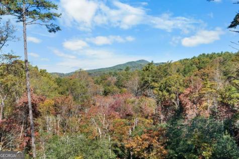 73 Aska Forest Trail Blue Ridge GA 30513