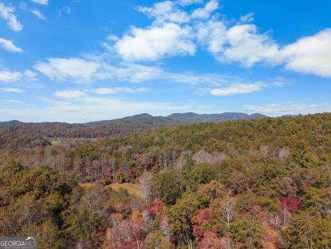 73 Aska Forest Trail Blue Ridge GA 30513