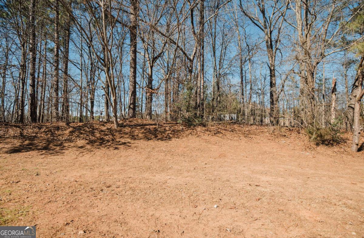 8724 Post Oak Drive Winston GA 30187