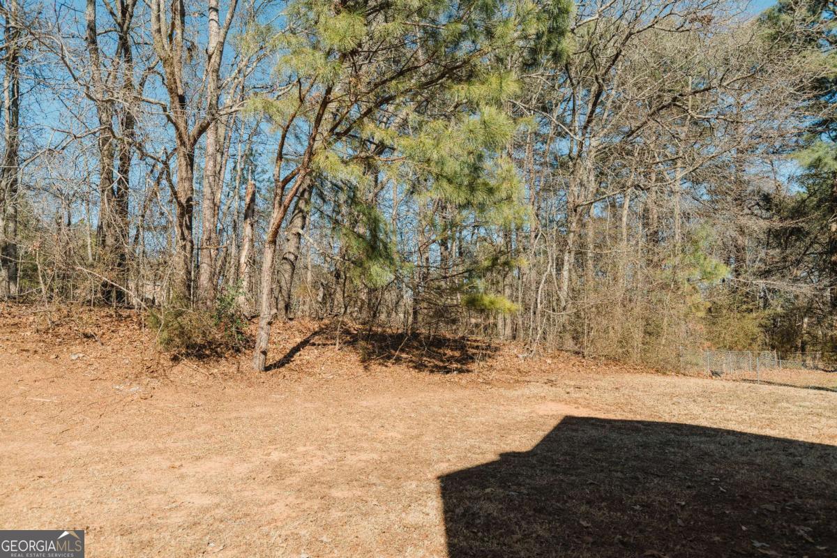 8724 Post Oak Drive Winston GA 30187