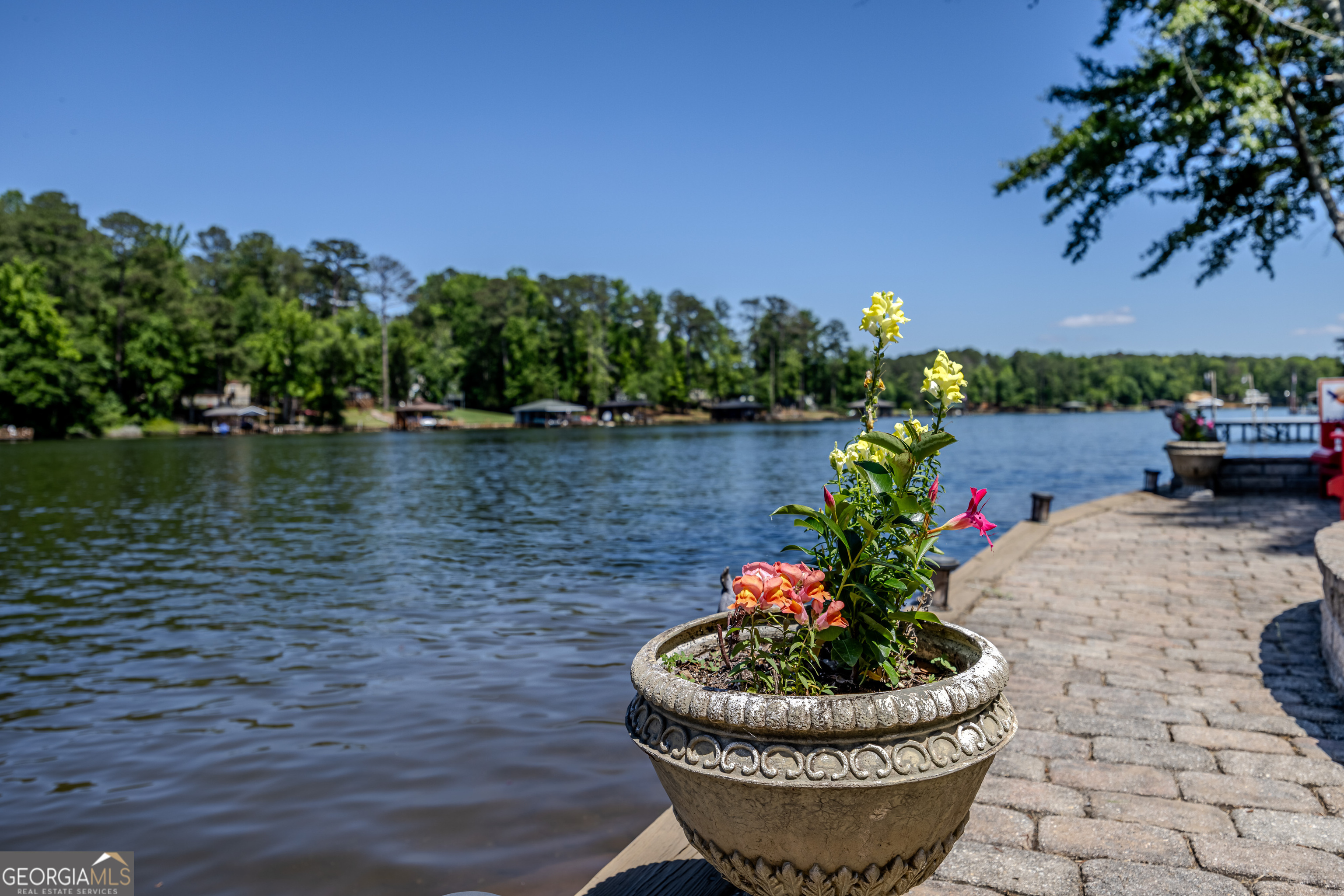 32 Dandelion Cove Sparta GA 31087