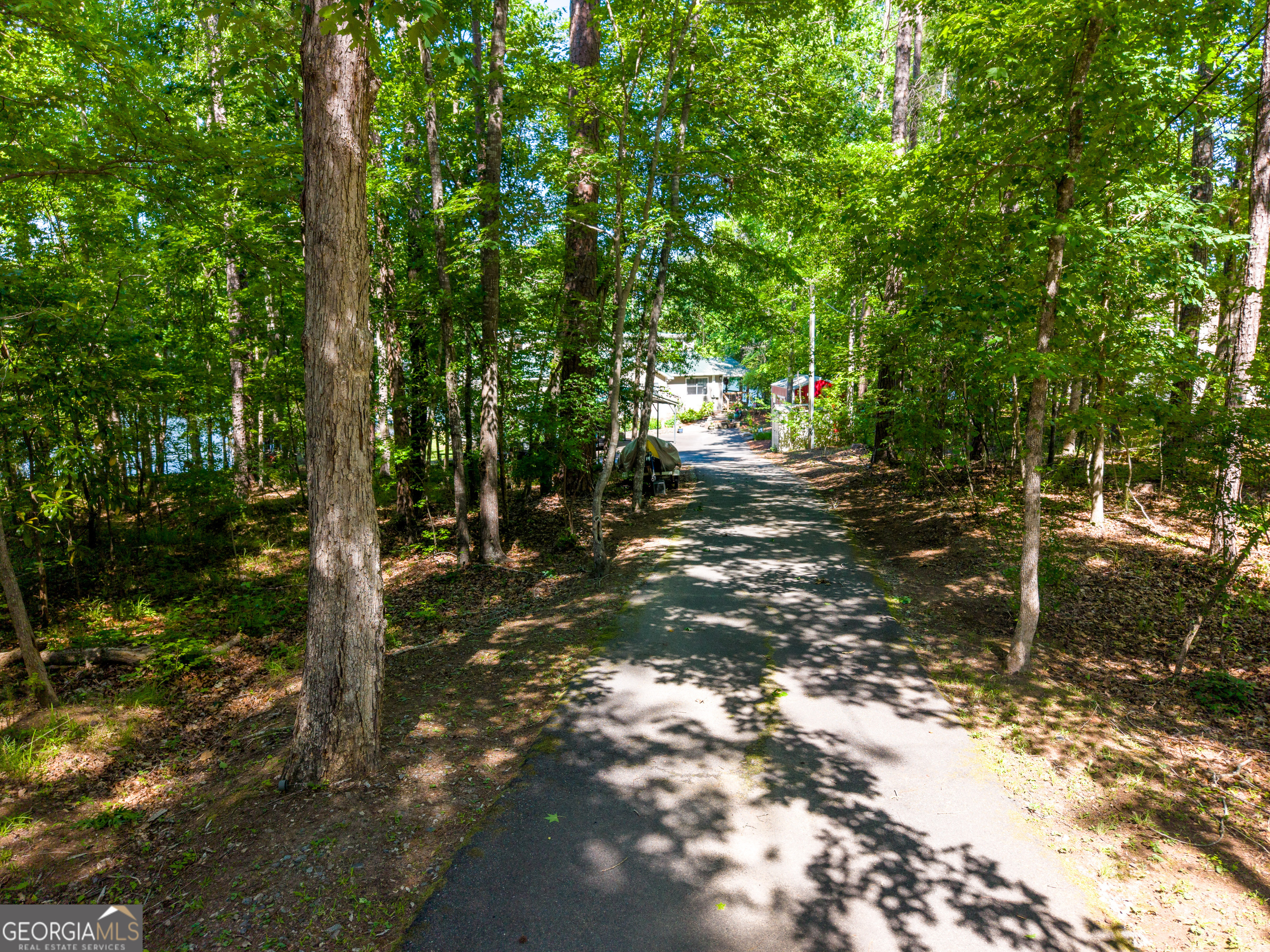 32 Dandelion Cove Sparta GA 31087