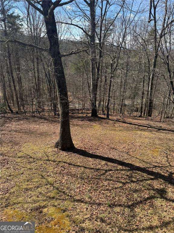 7089 Highway 19 N Dahlonega GA 30533