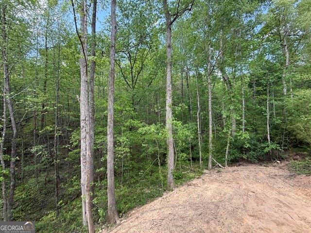 48 Ithica Court Jasper GA 30143