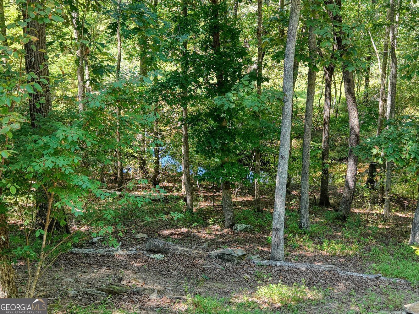 330 Coosa Run Blairsville GA 30512