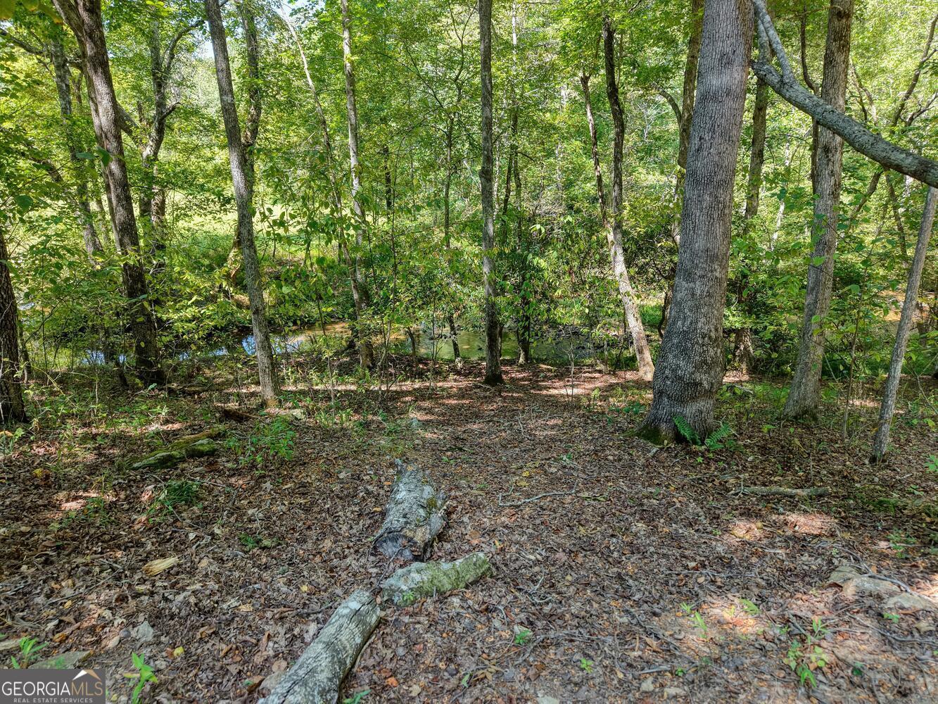 330 Coosa Run Blairsville GA 30512