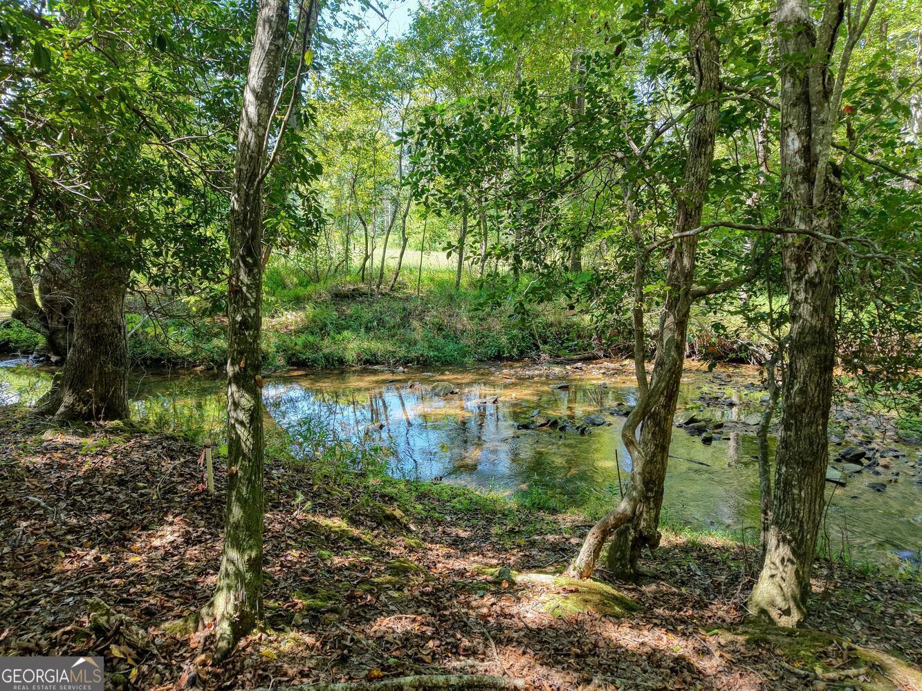 330 Coosa Run Blairsville GA 30512
