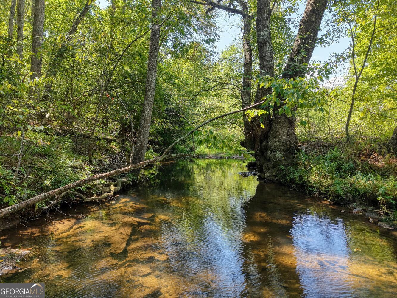 330 Coosa Run Blairsville GA 30512