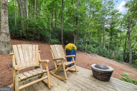 100 Bee Tree Run Clayton GA 30525