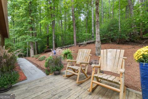 100 Bee Tree Run Clayton GA 30525
