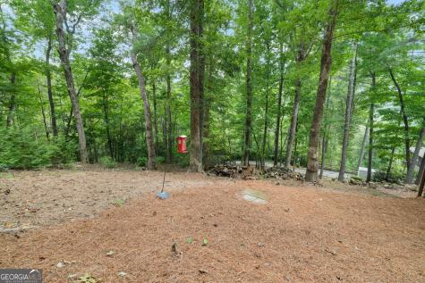 100 Bee Tree Run Clayton GA 30525