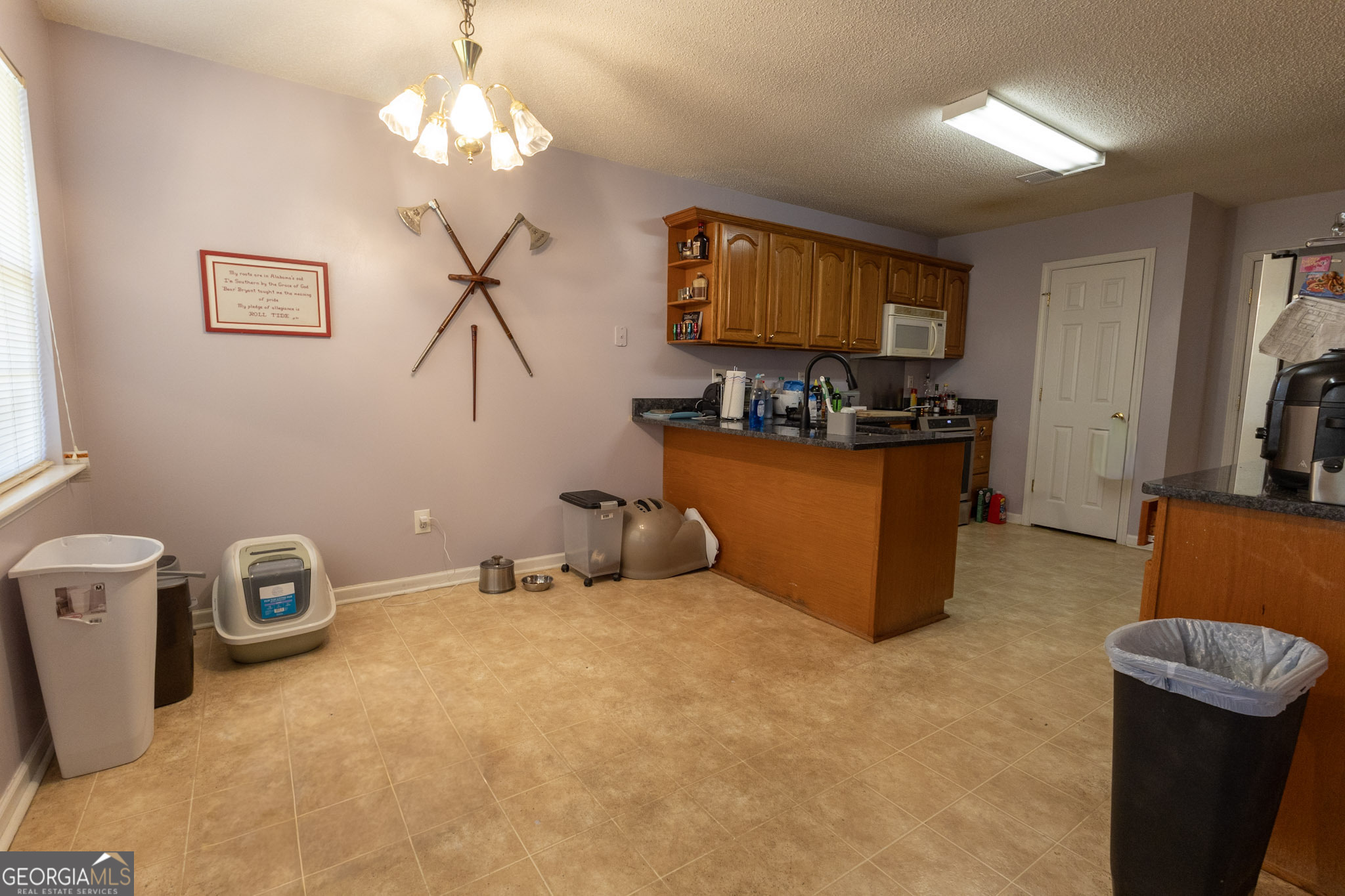 401 Links View Drive Bonaire GA 31005