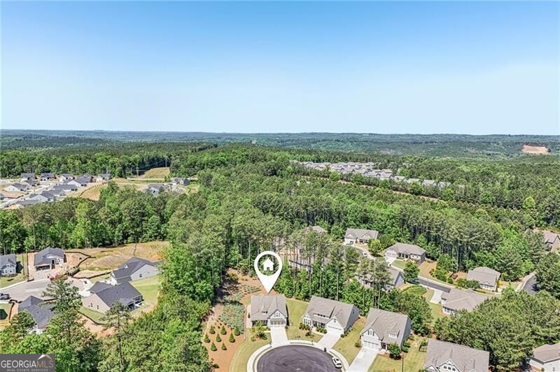80 Alderberry Court Dallas GA 30132
