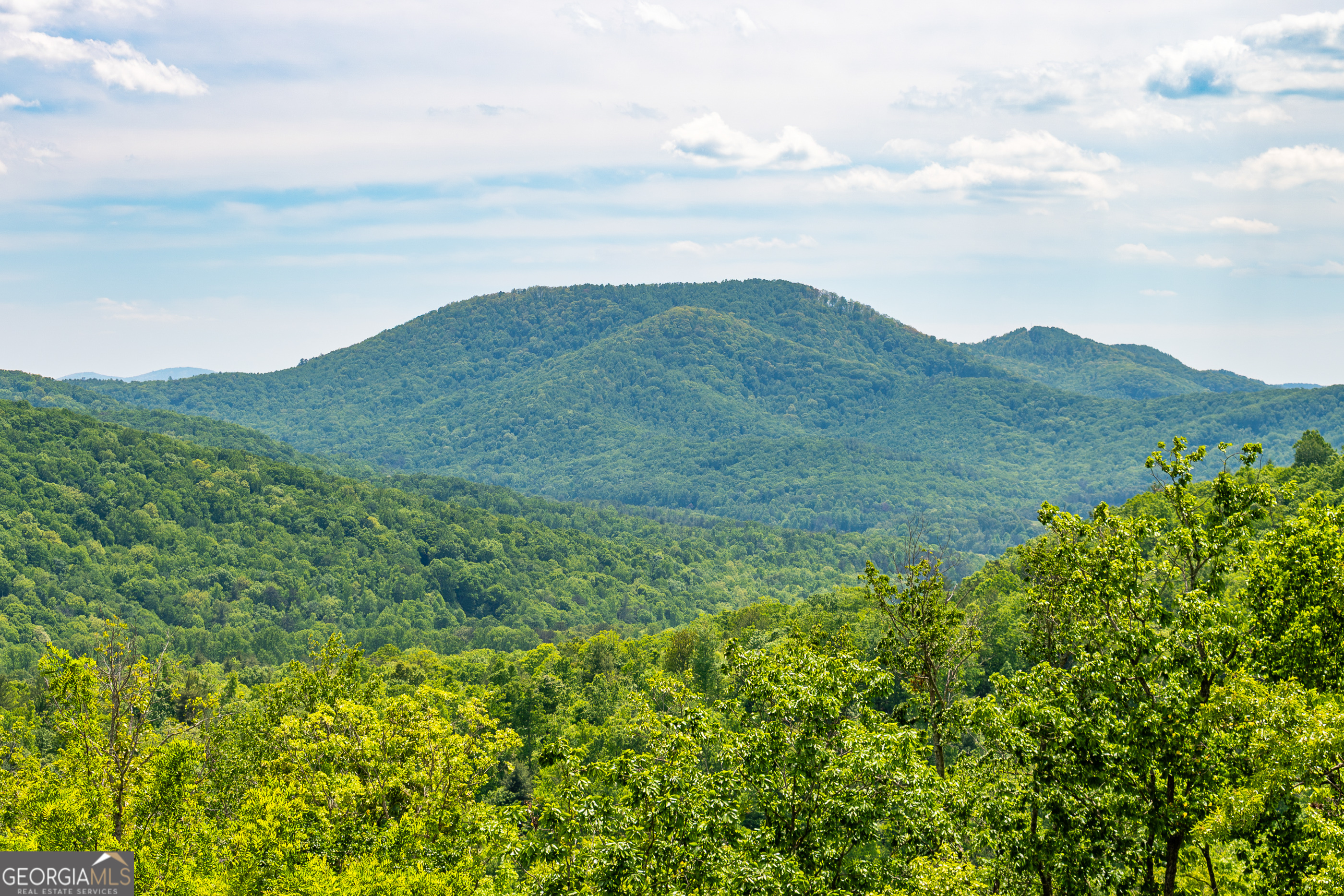 93 Stanley Ridge Drive Morganton GA 30560