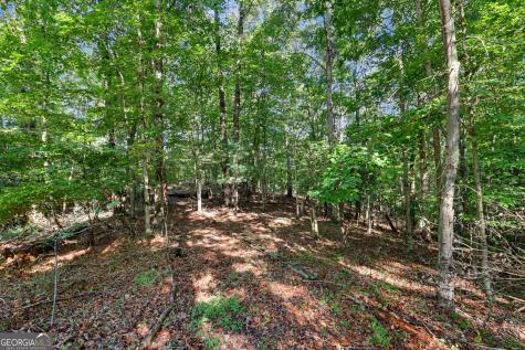 167 Anglers Loop Blue Ridge GA 30513