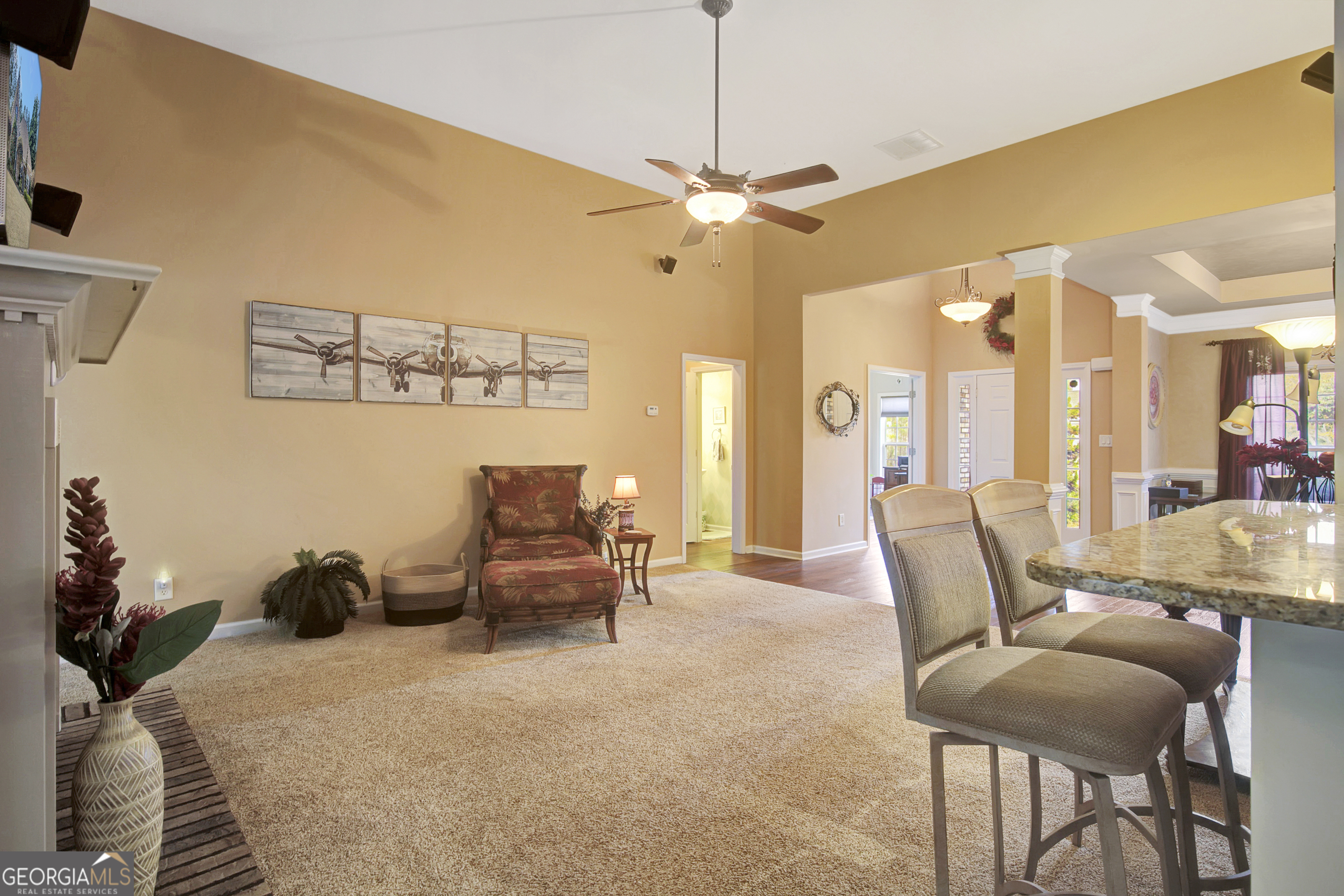230 Silverbell Lane Sharpsburg GA 30277