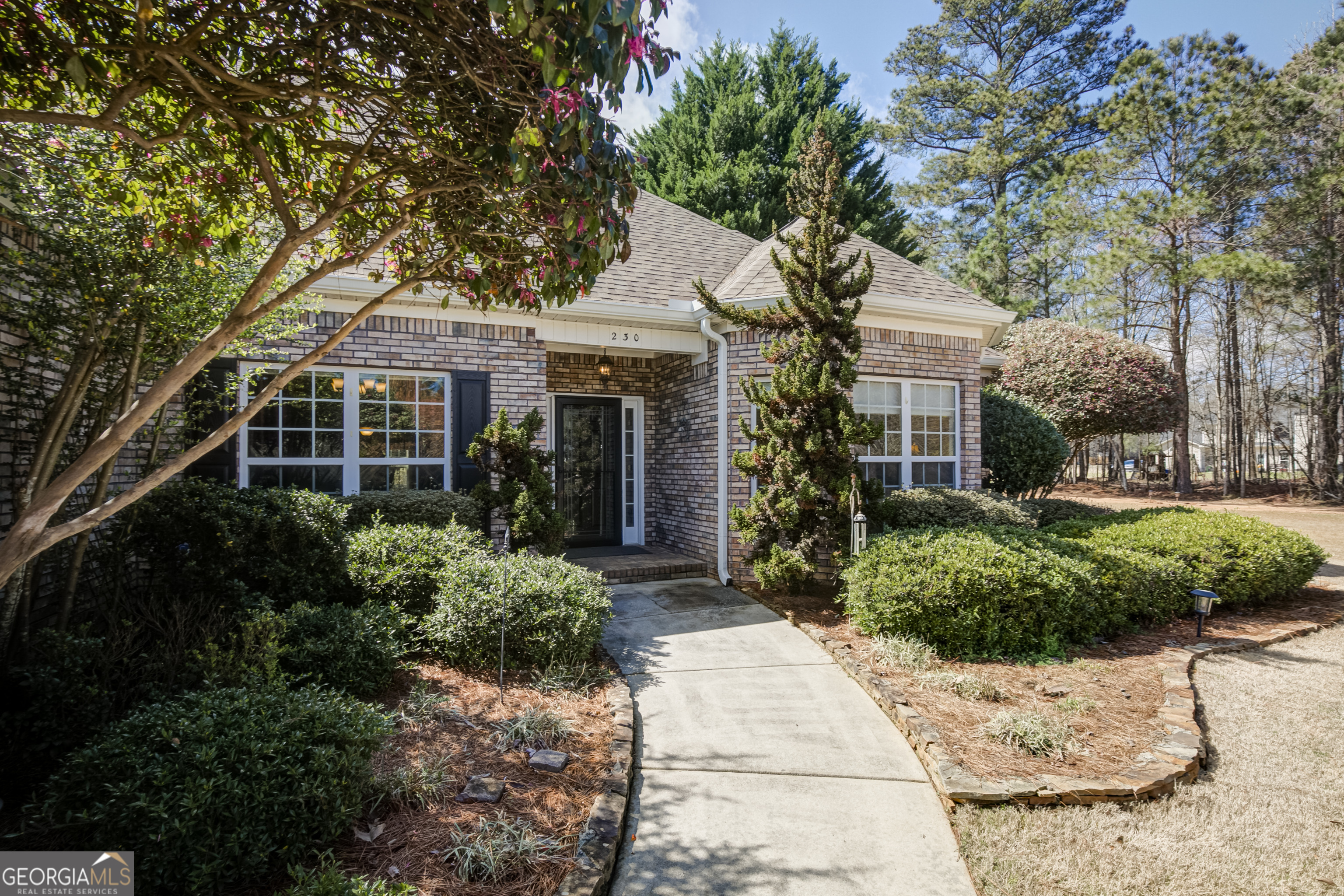 230 Silverbell Lane Sharpsburg GA 30277