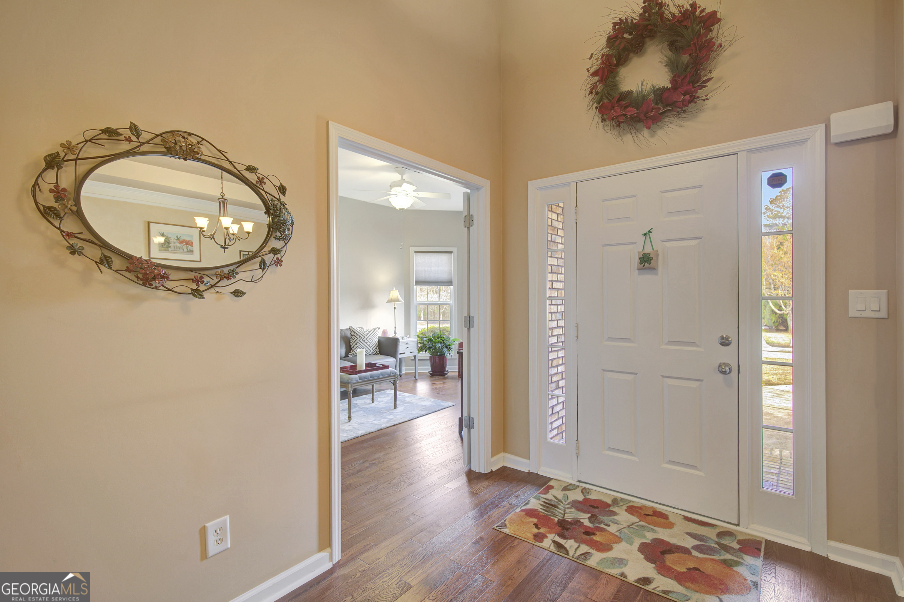 230 Silverbell Lane Sharpsburg GA 30277