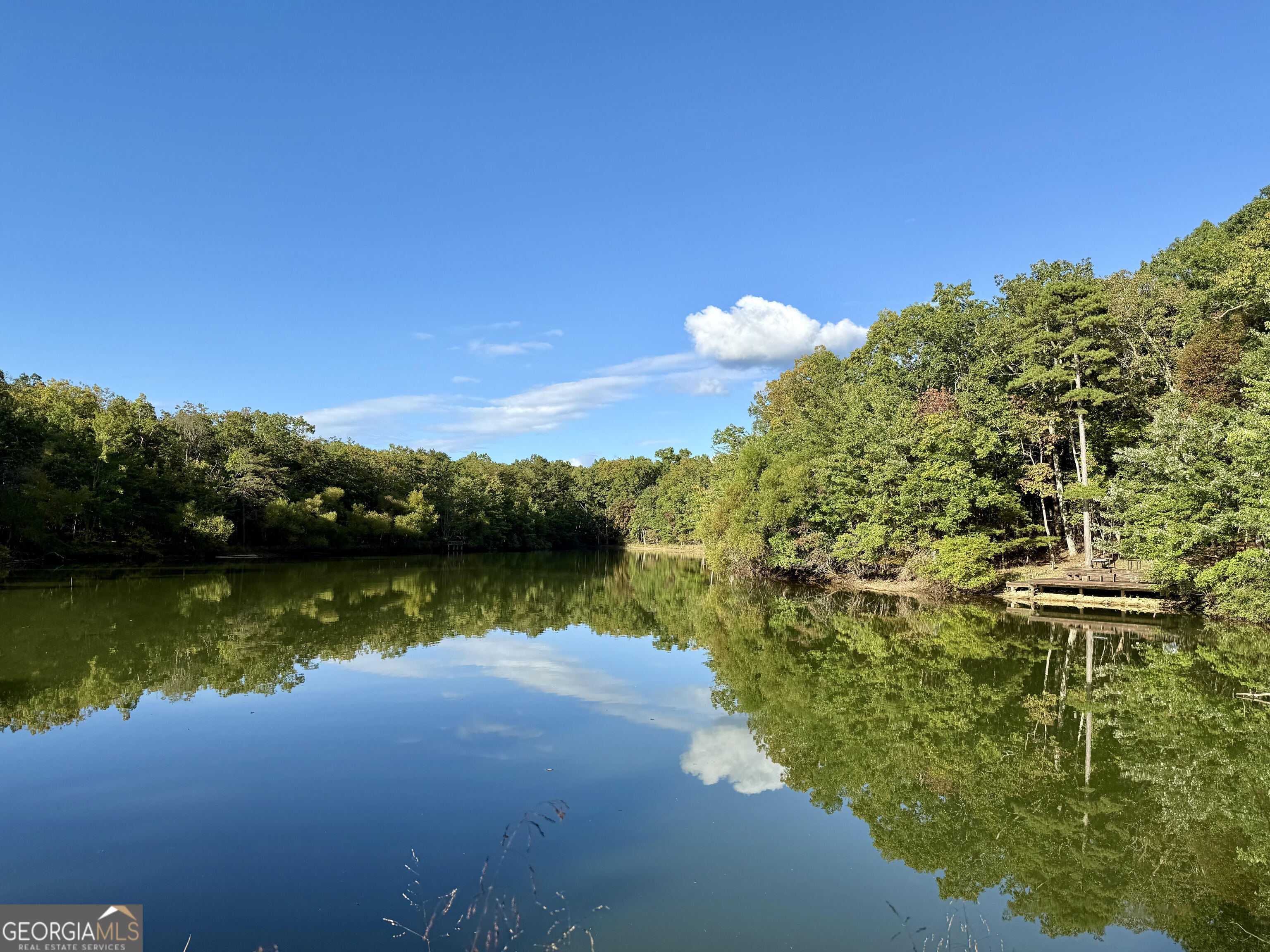 65 Eagle Bluff Road Menlo GA 30731