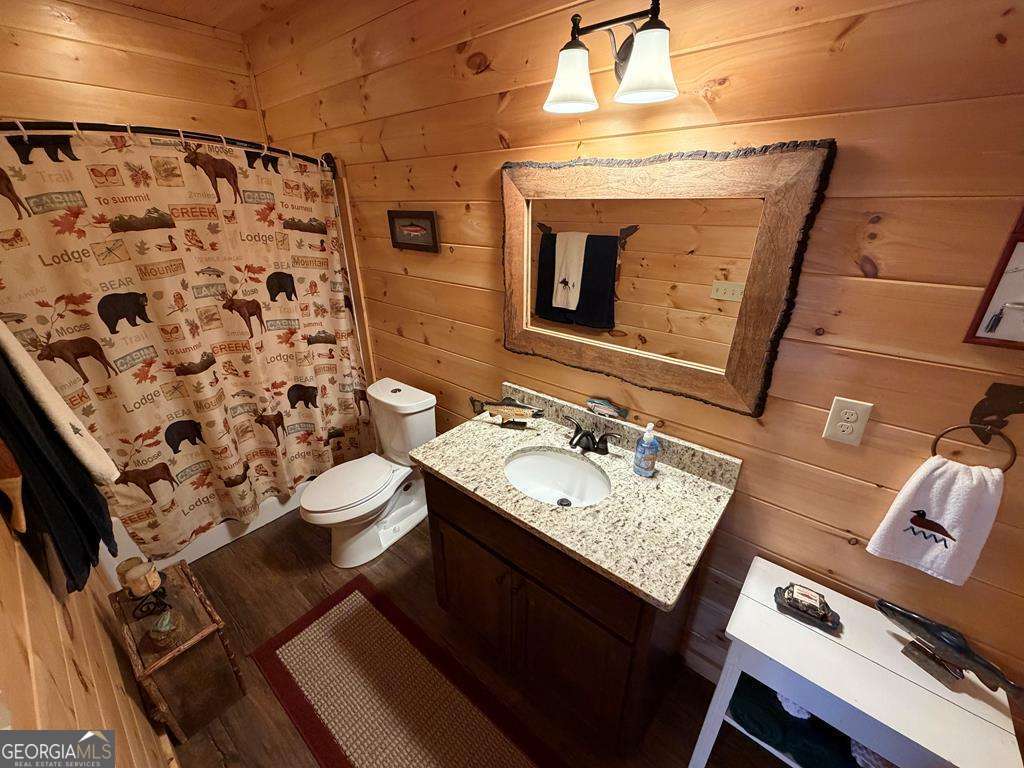 740 Highland Gap Mineral Bluff GA 30559