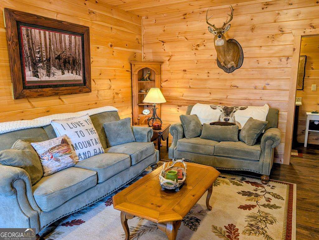 740 Highland Gap Mineral Bluff GA 30559